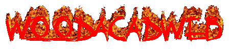 Our (totally not) copied logo
